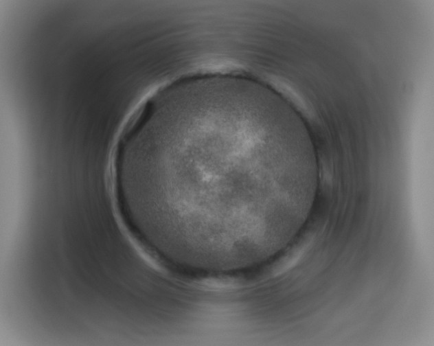 X0000113960630200910021526