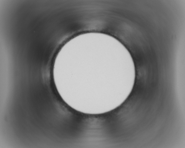 X0000113960632200910021526