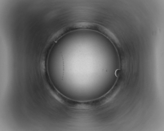 X0000113960633200910021526