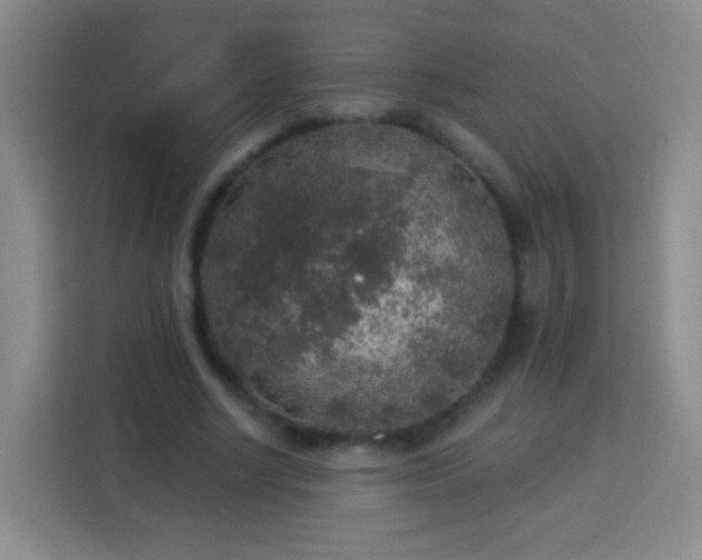 X0000113960634200910021526