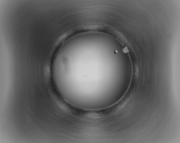 X0000113960636200910021526