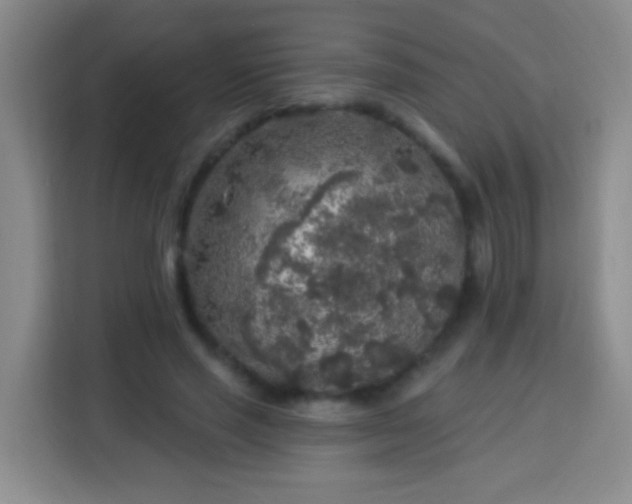 X0000113960637200910021526