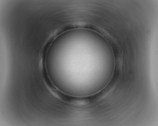 X0000113960638200910021526