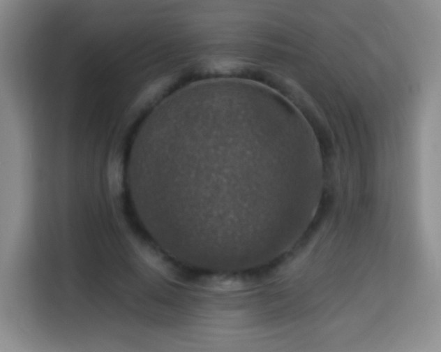 X0000113960640200910021526