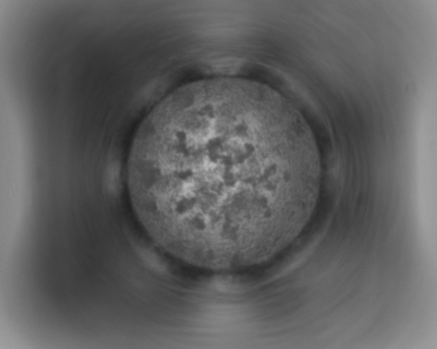 X0000113960641200910021526