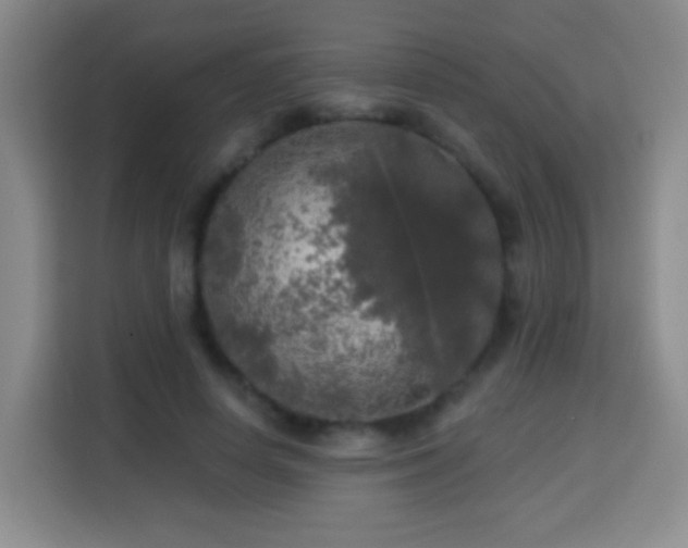 X0000113960642200910021526