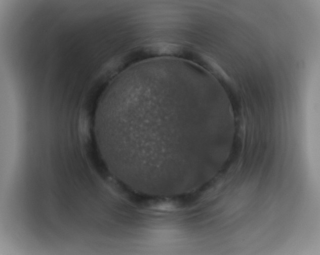 X0000113960643200910021526