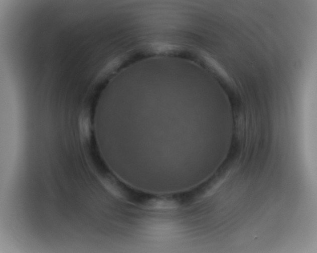 X0000113960644200910021526