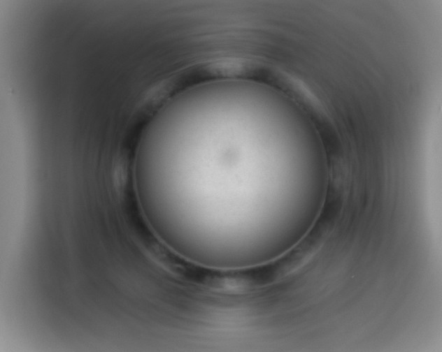 X0000113960645200910021526