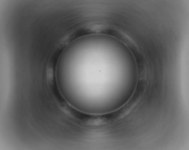 X0000113960646200910021526