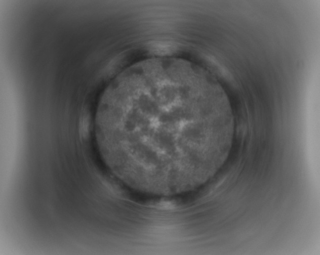 X0000113960647200910021526