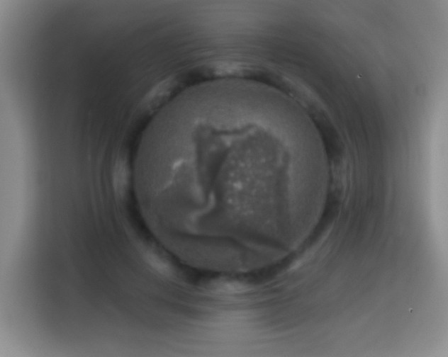 X0000113960648200910021526