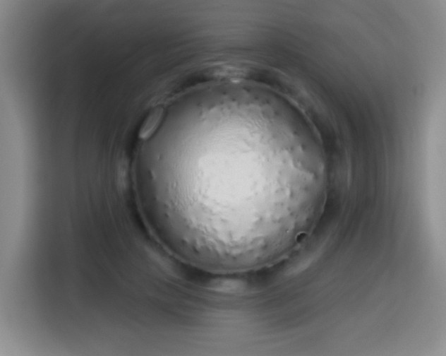 X0000113960649200910021526