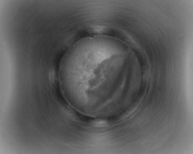 X0000113960651200910021527