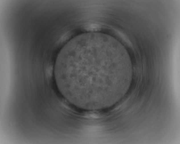 X0000113960652200910021527