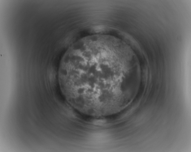 X0000113960653200910021527