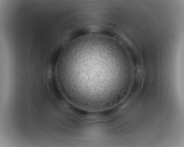 X0000113960655200910021527