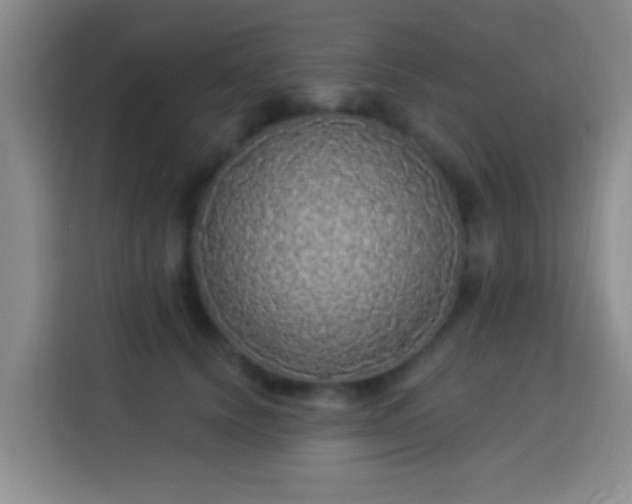 X0000113960656200910021527