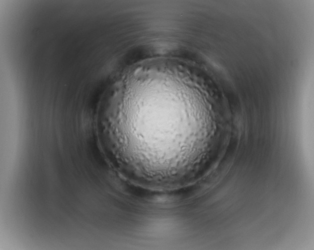 X0000113960657200910021527