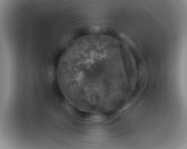 X0000113960659200910021527