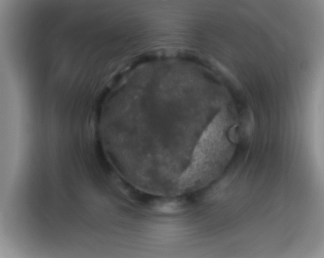 X0000113960661200910021527