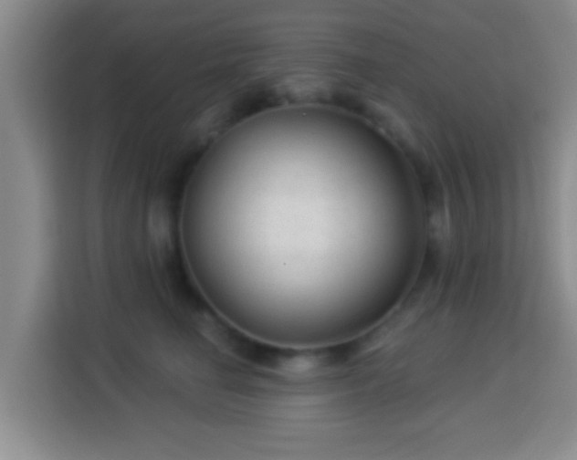 X0000113960662200910021527