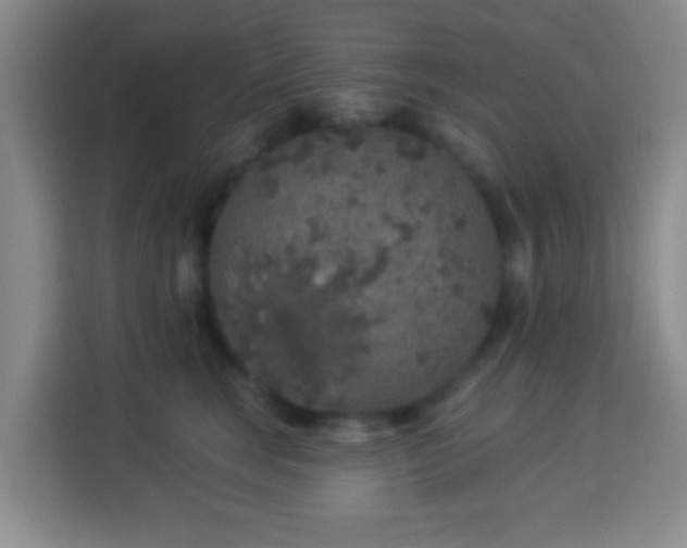 X0000113960663200910021527