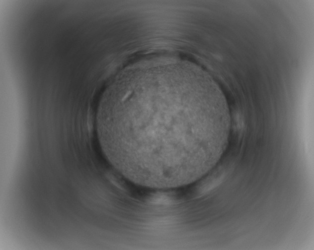 X0000113960664200910021527