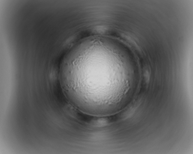 X0000113960665200910021527