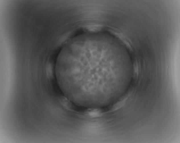 X0000113960667200910021527