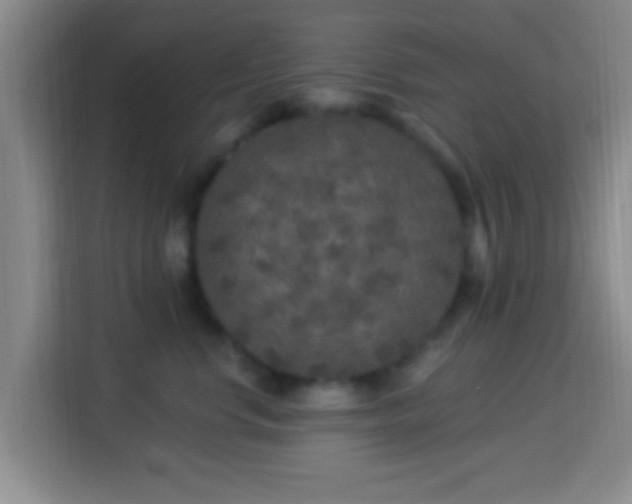 X0000113960668200910021527