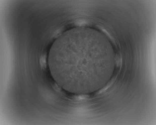 X0000113960670200910021527