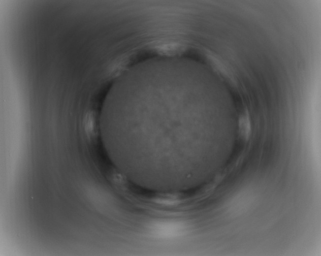 X0000113960671200910021527