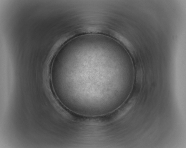 X0000113960673200910021526