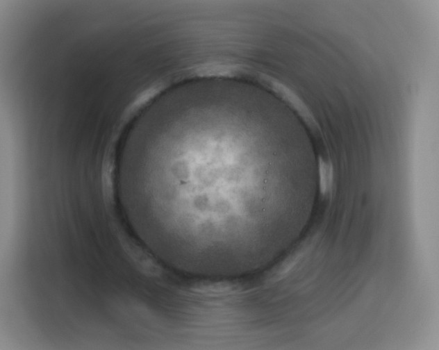 X0000113960675200910021526