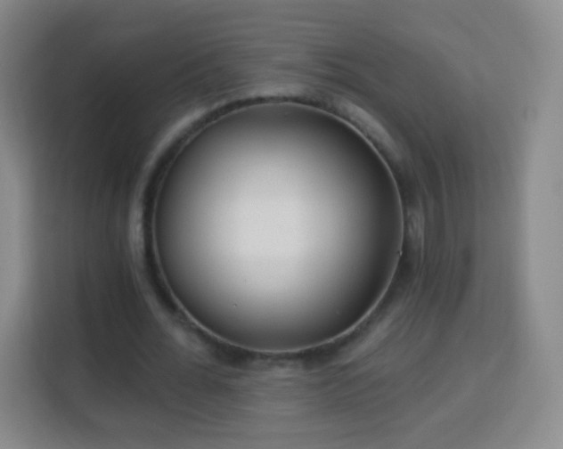 X0000113960676200910021526