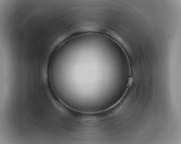 X0000113960677200910021526