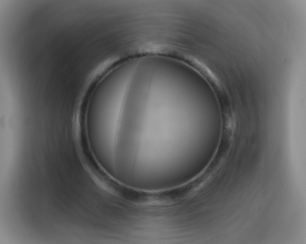 X0000113960678200910021526