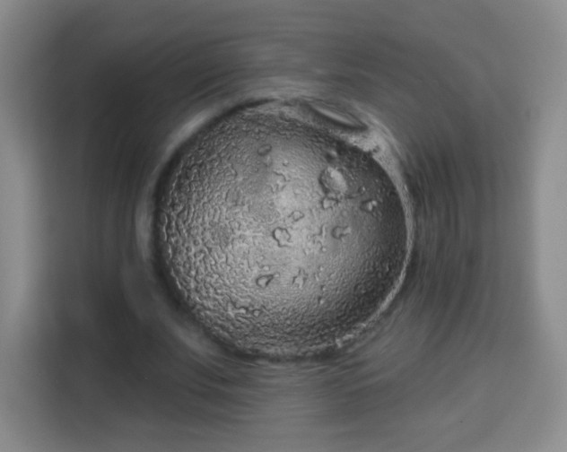 X0000113960679200910021526