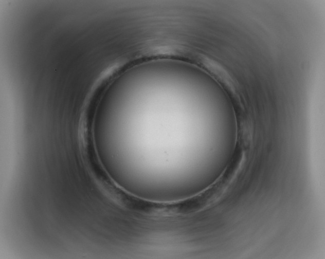 X0000113960680200910021526