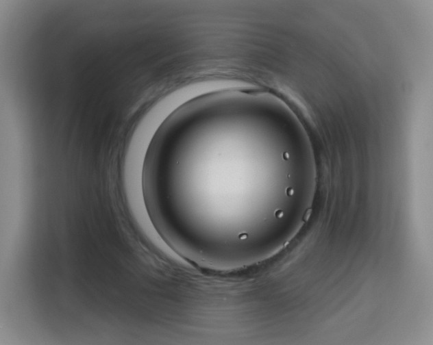 X0000113960681200910021526