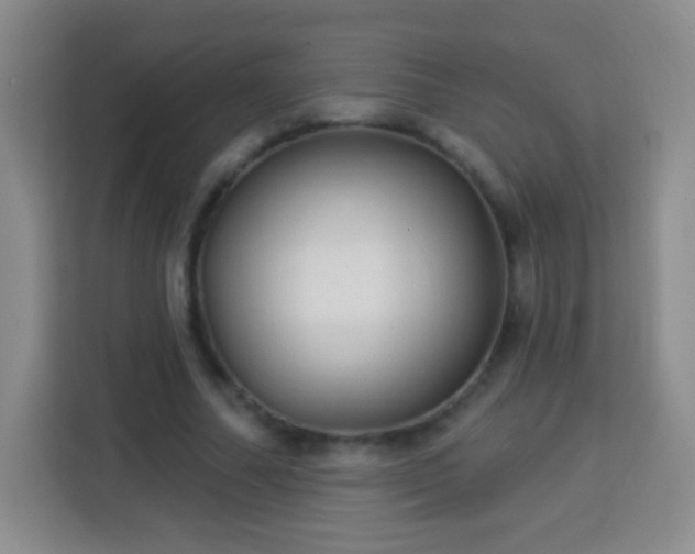 X0000113960682200910021526