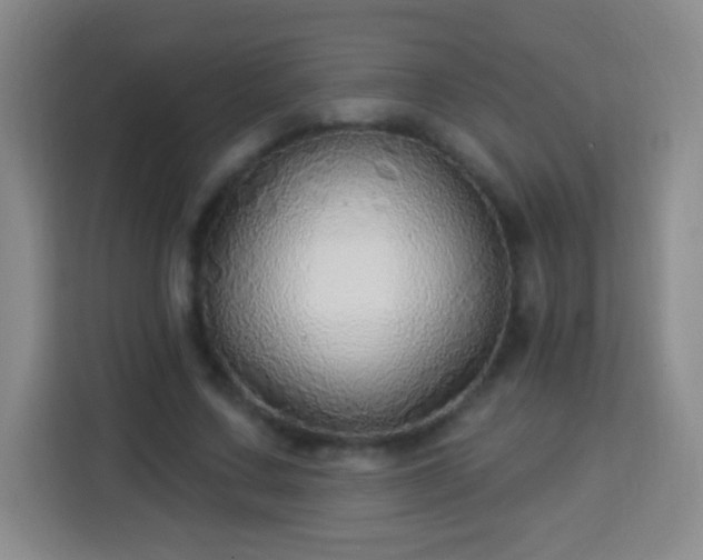 X0000113960683200910021526