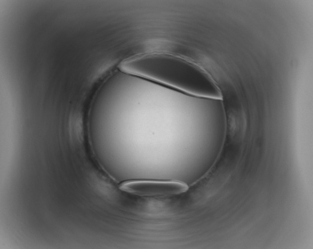 X0000113960684200910021526