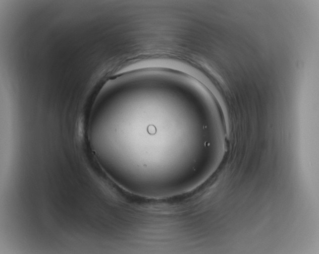 X0000113960685200910021526