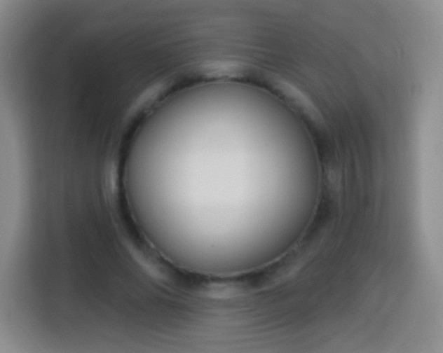 X0000113960686200910021526