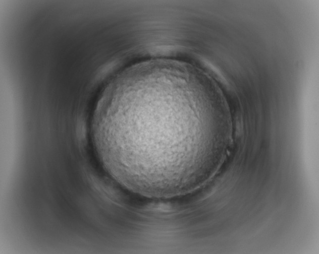 X0000113960687200910021526