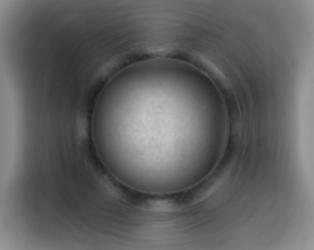 X0000113960689200910021526