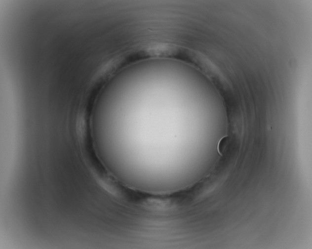 X0000113960690200910021526