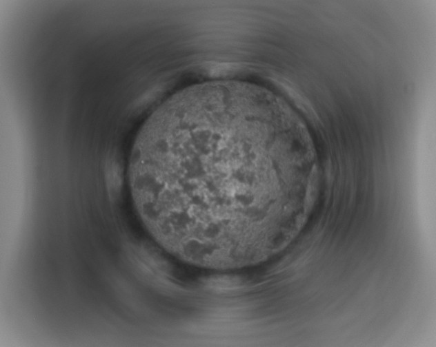 X0000113960691200910021526